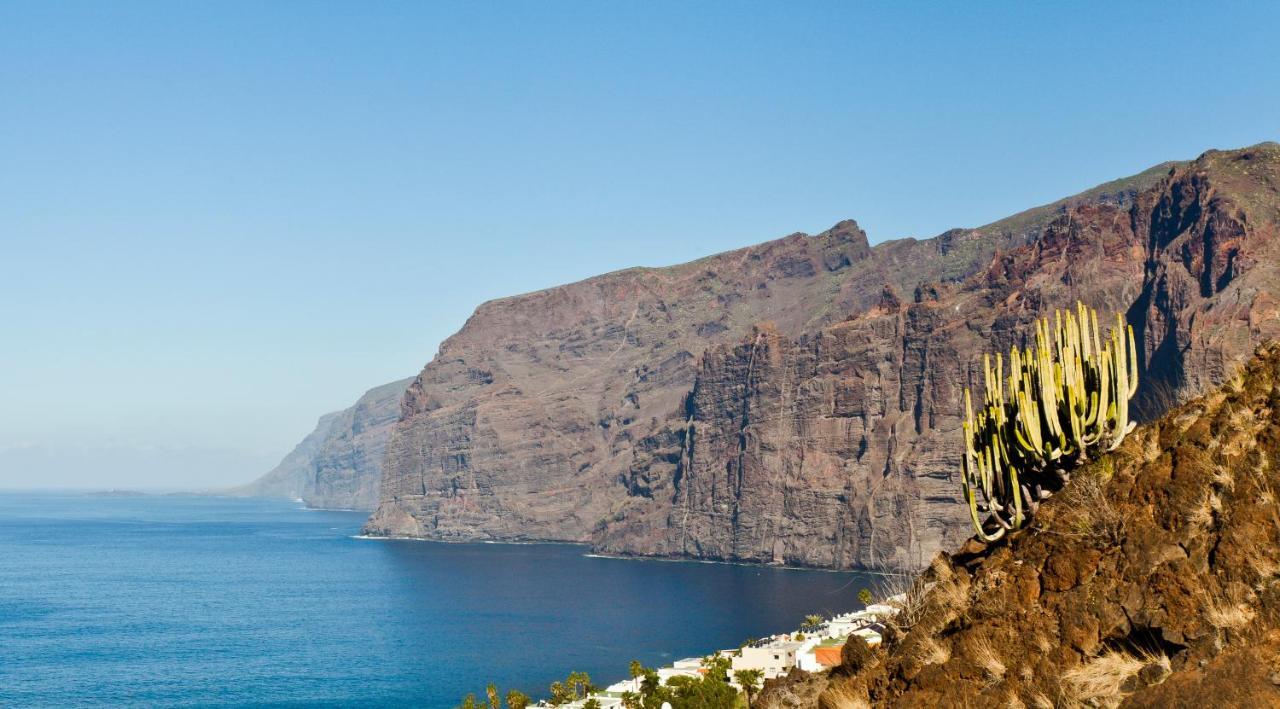 Green Cactus Cosy Loft, Wifi & Gym Santa Cruz de Tenerife Bagian luar foto